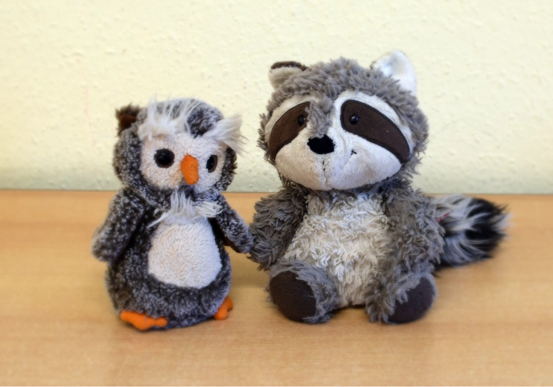 Unsere Klassentiere – Eule und Waschbär